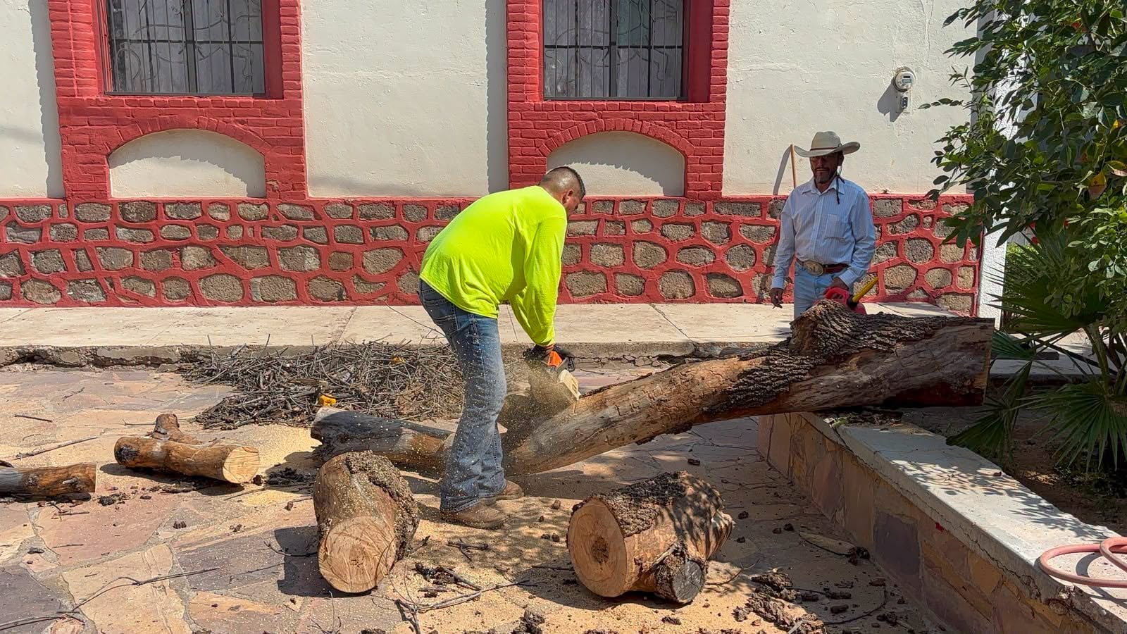 PODA PREVENTIVA EN PARROQUIA MUNICIPAL